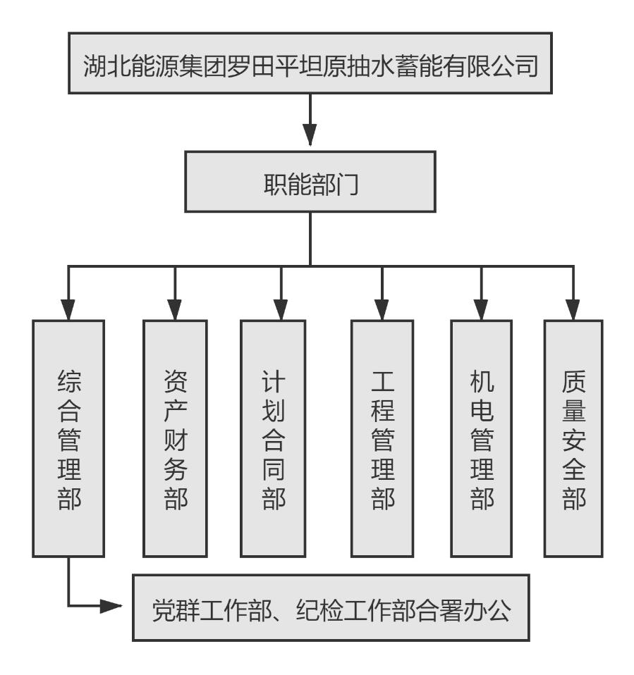 湖北能源集團羅田平坦原抽水蓄能有限公司組織機構